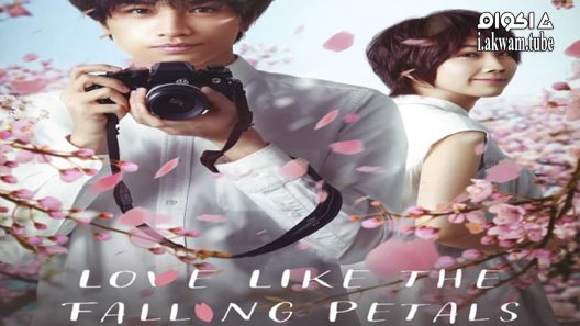 Love Like the Falling Petals 2022 – اكوام